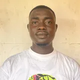 Oluwaseyi Ogundimu