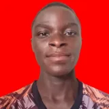 David Adewumi